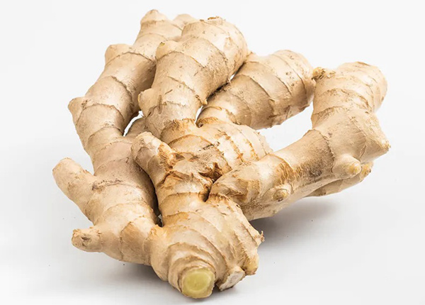 hot sales chinese fresh spicy mature ginger for european market