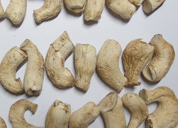 Dried Shiitake Mushroom Stem 