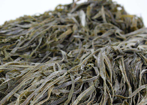 naturally dried sea kelp