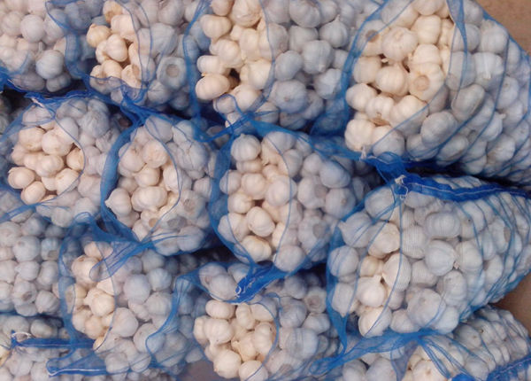 china/chinese best new natural crop fresh sack export white garlic