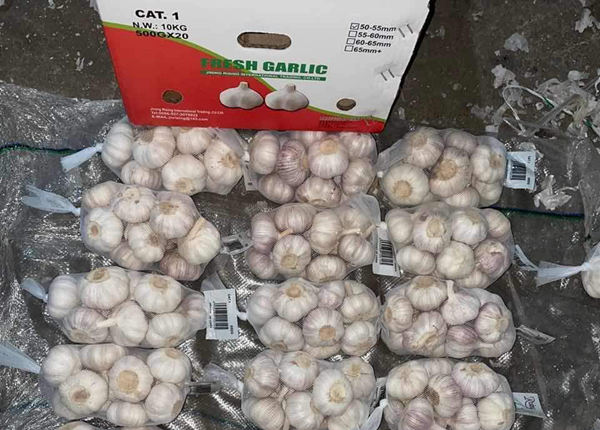 shandong garlic orangic garlic 500g net per bag