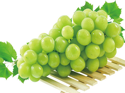 china grape exports surge strongly new season sees it tie for global lead with peru for the first time