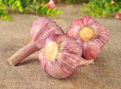 2023 Fresh Garlic Suppliers and Garlic Market Research