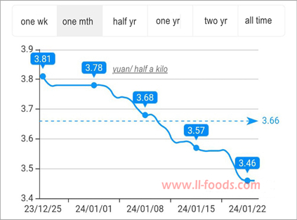 China's fresh garlic prices slip sharply