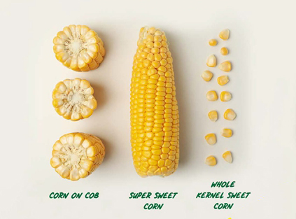 sweet corn cob & kernel sweet corn