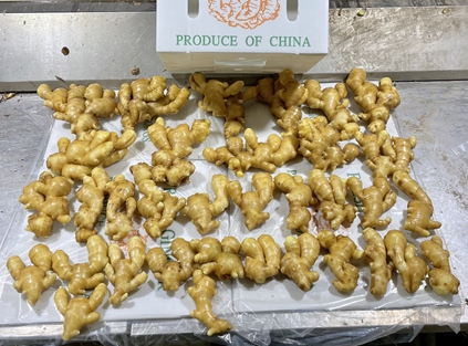 Stable supply of high-quality air-dried ginger to customers in 2025