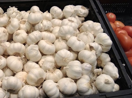 pure_white_garlic