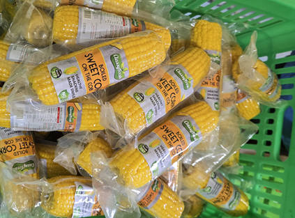 deeply engaged in export for over a decade: high-quality chinese sweet corn sells well in saudi arabia and pakistan, adding a new chapter to global layout