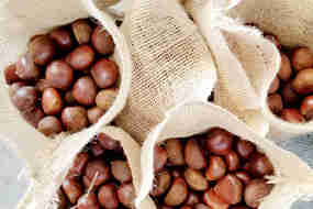  5kg jute bag 80-100 grains small organic fresh chestnut 