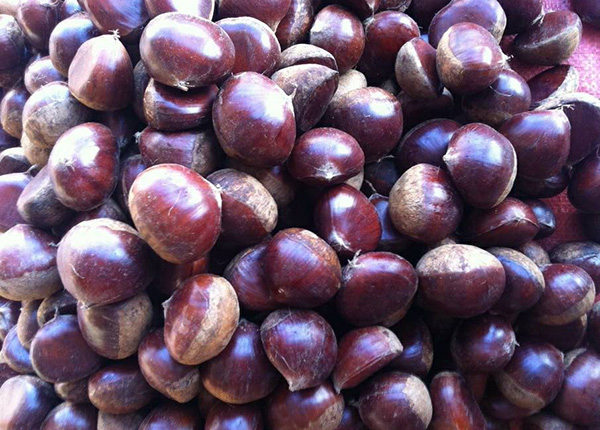  5kg jute bag 80-100 grains small organic fresh chestnut 