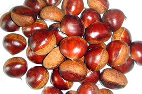 Chestnut