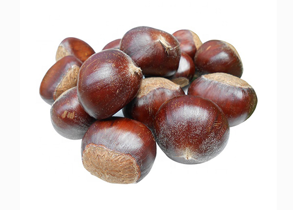 Chestnut