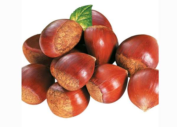 Chestnut