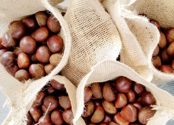 new crop chinese chestnuts supplier