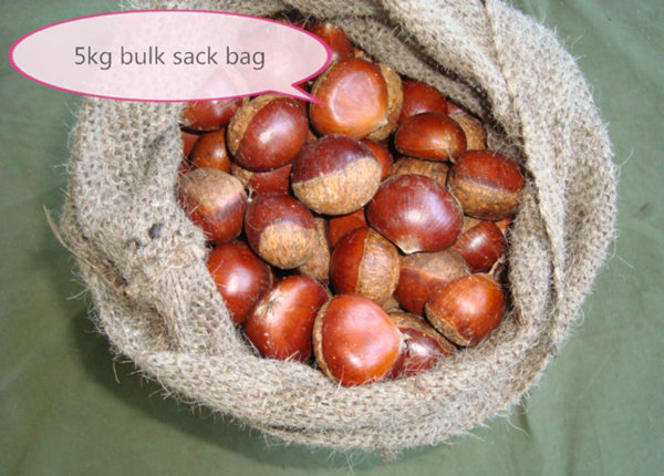  5kg jute bag 80-100 grains small organic fresh chestnut 