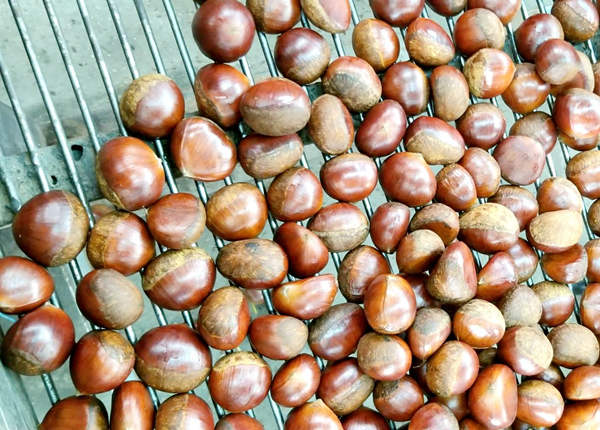 wholesale chinese chestnut price with fda