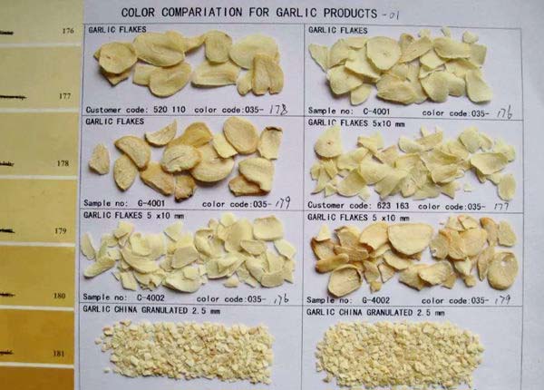 dry dehydrated sliced garlic flakes with gap brc iso haccp kosher