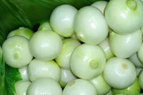 fresh chinese peeled onion