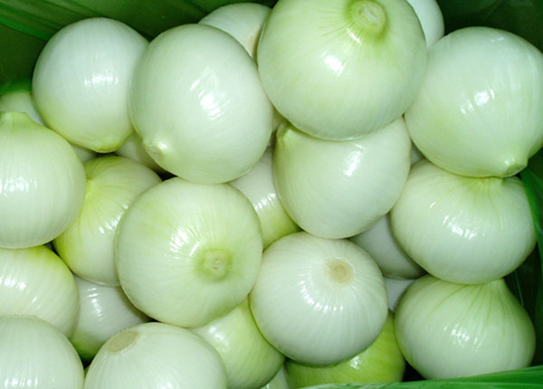 fresh chinese peeled onion