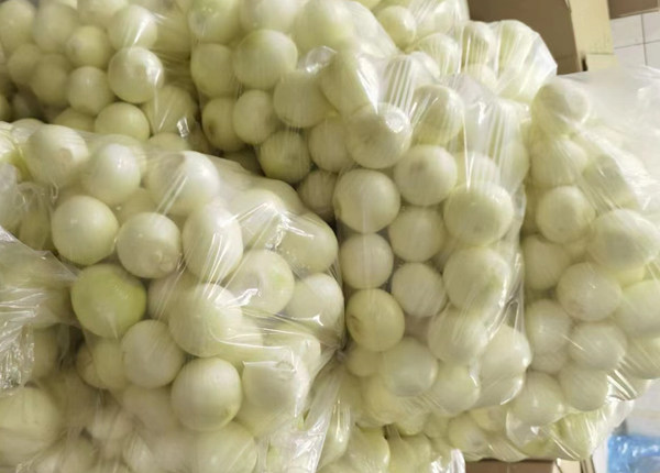 fresh chinese peeled onion
