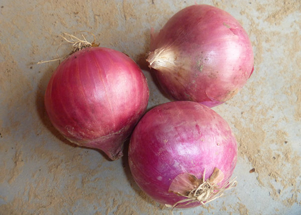 fresh red onion