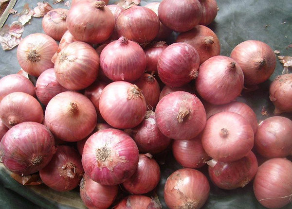 fresh red onion