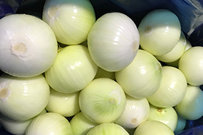 peeled onion