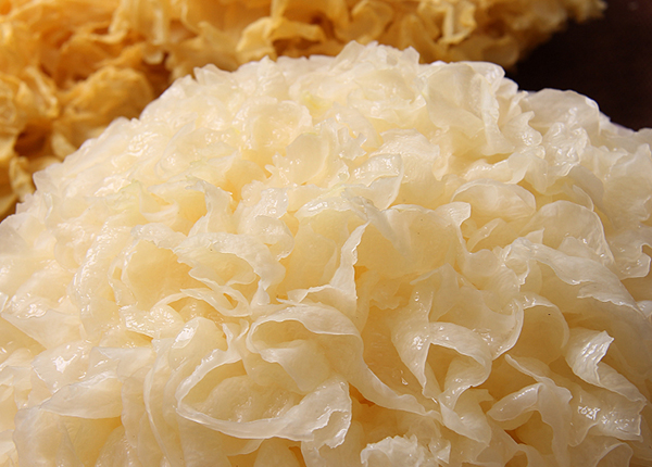 White Fungus