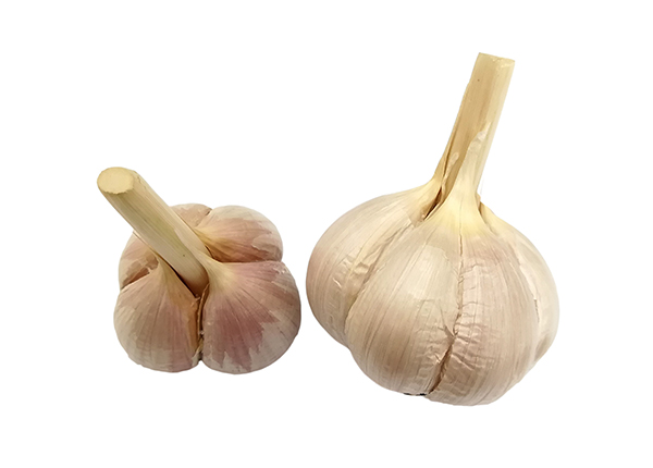 4&6 clove garlic