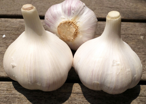 4&6 clove garlic