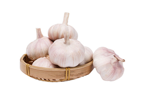 chinese garlic new harvest fresh normal white garlic 5-6cm