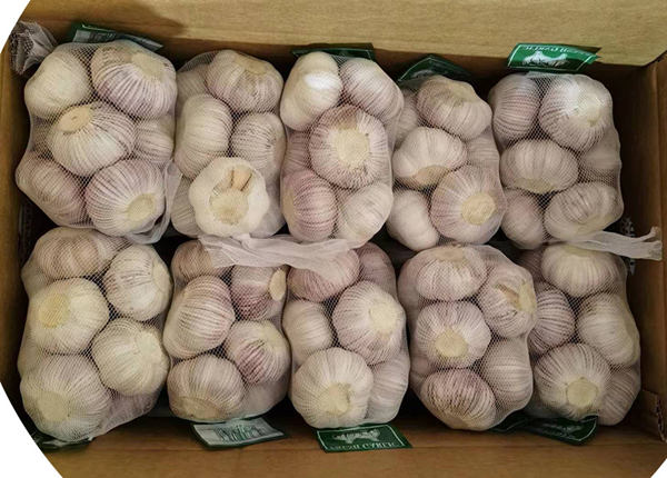 new crop fresh normal white red chinese garlic