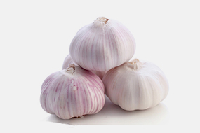 normal white garlic