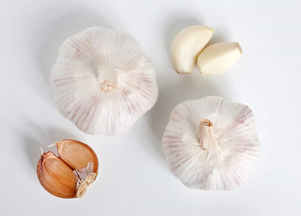 normal white garlic