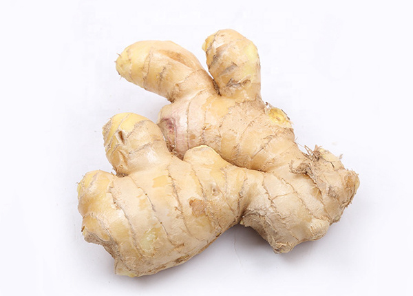 hot sales chinese fresh spicy mature ginger for european market