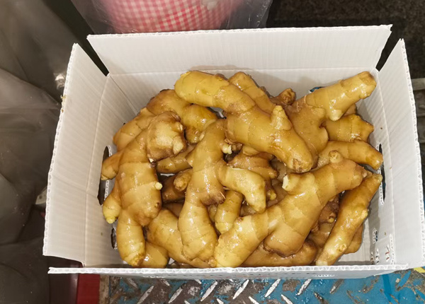 chinese fresh factory air dried ginger in euro quality standard