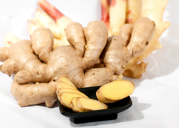 direct china air dried ginger wholesaler buyer