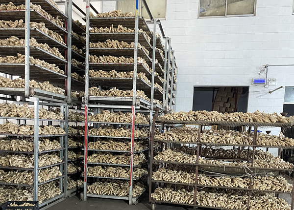 high quality fresh ginger market price per ton of wholesale ginger china ginger export