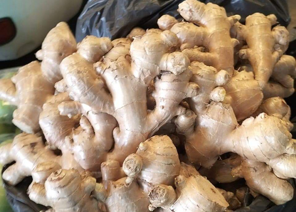 high quality fresh ginger market price per ton of wholesale ginger china ginger export