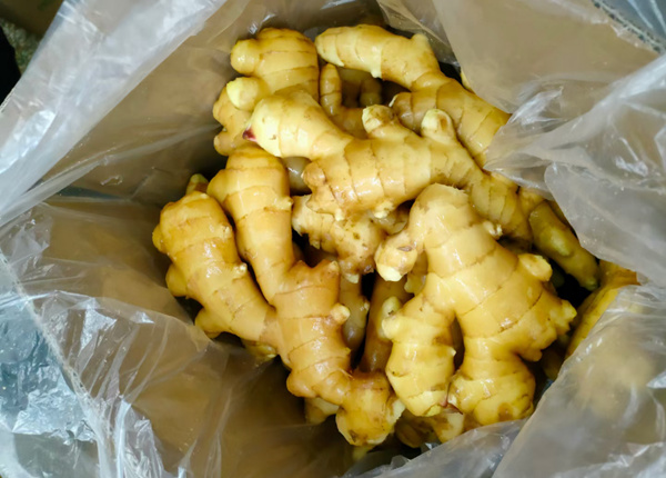 chinese fresh ginger sold directly from the factory