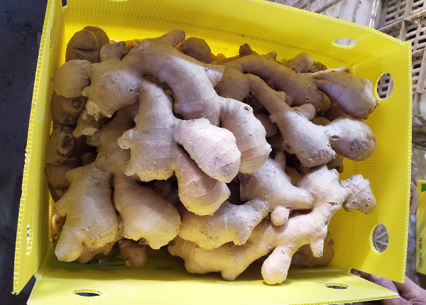 Air- Dried Ginger