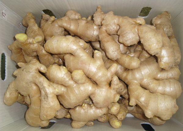 Air- Dried Ginger