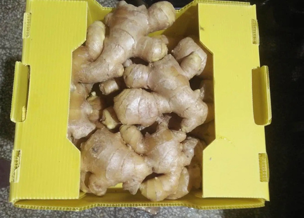 Chinese Mature Importer of Fresh Vegetables Air-Dried Ginger for EU Market