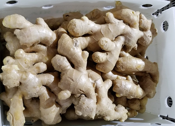 Air- Dried Ginger