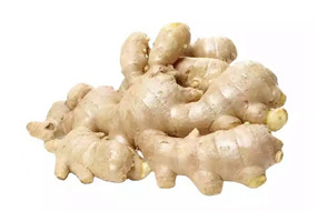 china leading ginger brand air dried ginger 200g up