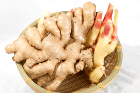 chinese air dried ginger supplie