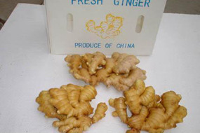 fresh ginger packing inside plastic carton