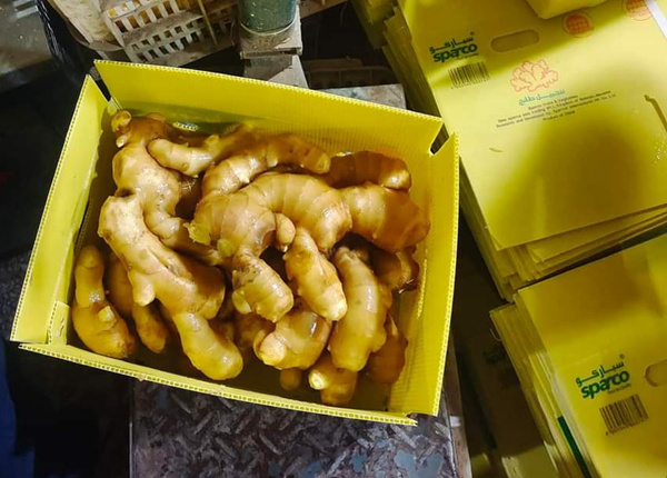 fresh ginger packing inside plastic carton