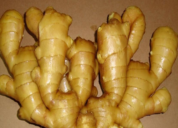 fresh ginger