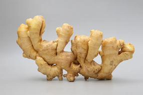 manufacturer supplier mature crop natural air dried quality hot sale organic fresh yellow ginger